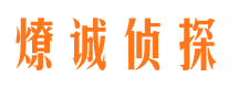 罗城市场调查